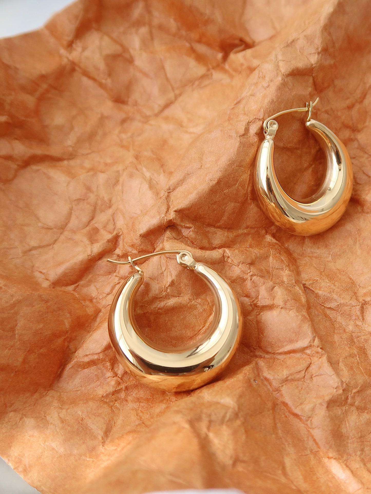 Oval Hoop Earrings