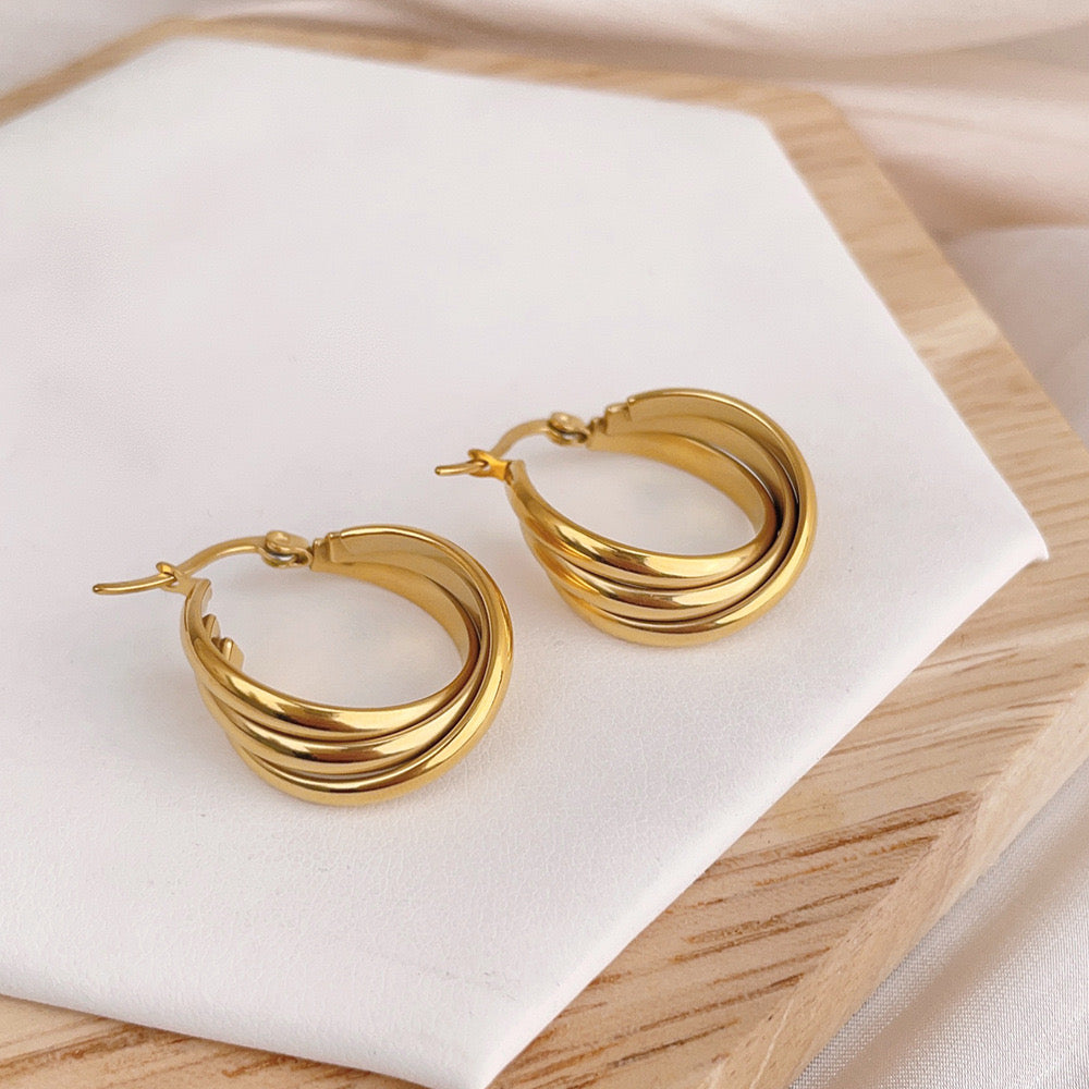 Twisted Hoops Earrings