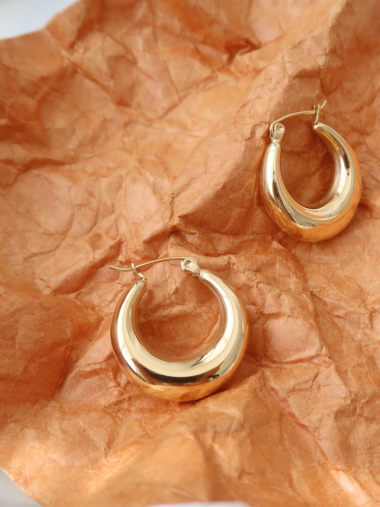 Oval Hoop Earrings