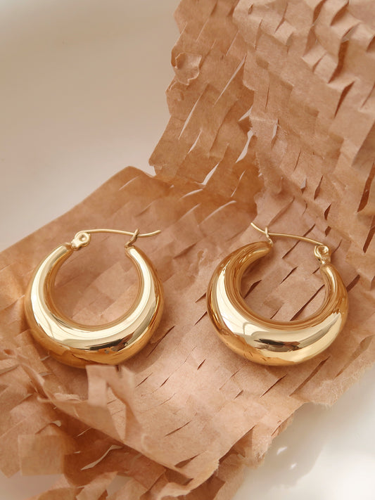 Oval Hoop Earrings